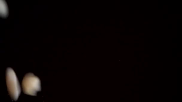 Горіхи Сирий Згорнутий Арахіс Падає Чорну Дзеркальну Поверхню Повільний Рух — стокове відео
