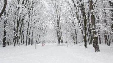 Kar fırtınası sırasında kış parkı.