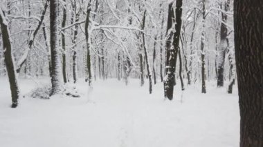 Kar fırtınası sırasında kış parkı.