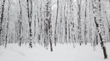 Kar fırtınası sırasında kış parkı.