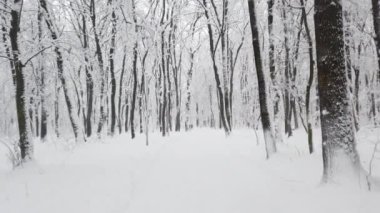 Kar fırtınası sırasında kış parkı.