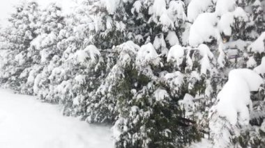 Kar fırtınası sırasında kış parkı.