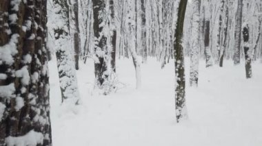 Kar fırtınası sırasında kış parkı.