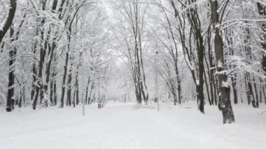 Kar fırtınası sırasında kış parkı.