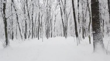 Kar fırtınası sırasında kış parkı.