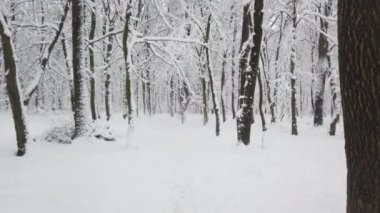Kar fırtınası sırasında kış parkı.