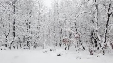 Kar fırtınası sırasında kış parkı.