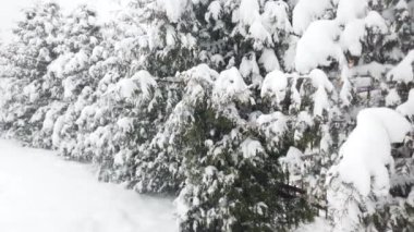 Kar fırtınası sırasında kış parkı.