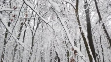 Kar fırtınası sırasında kış parkı.