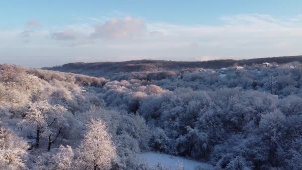 Vista Aérea Dron Volando Sobre Bosque Invernal — Vídeos de Stock
