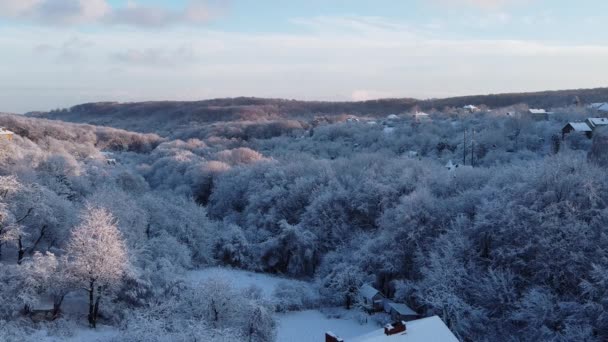 Aerial View Drone Flying Winter Forest — 图库视频影像