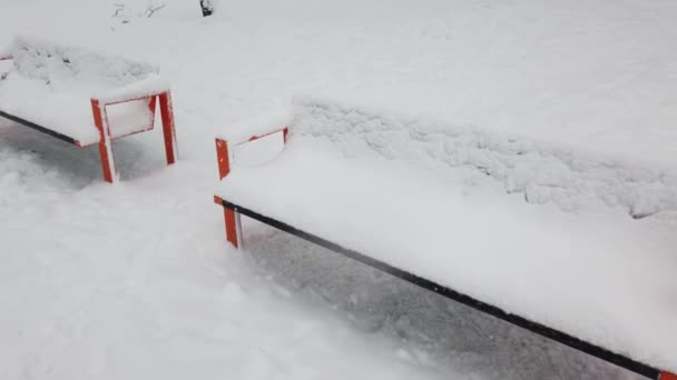 Panchine Innevate Nel Parco Invernale — Video Stock