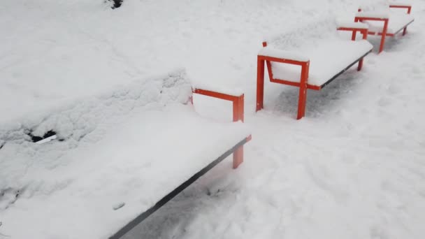 Pokryte Ławki Parku Zima Śnieg — Wideo stockowe