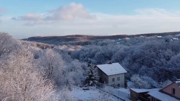 Vista Aérea Dron Volando Sobre Bosque Invernal — Vídeos de Stock