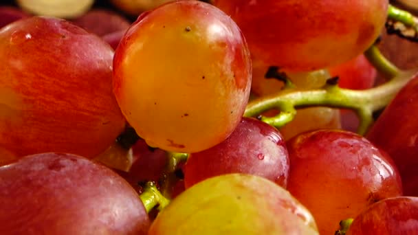 Häll Vin Ett Glas Mot Bakgrund Vinkorkar — Stockvideo