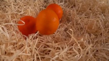 Mandalinalar samanların üzerine düşüyor. Yavaş çekim.