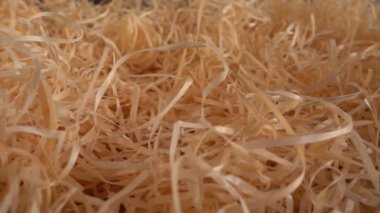 Kamışın üzerine düşen limonlar. Yavaş çekim.