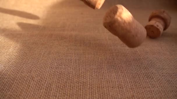Champagne Wine Corks Fall Burlap Slow Motion — Stock Video