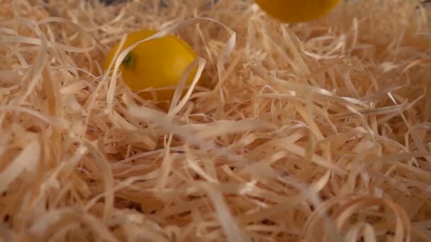 Falling Lemons Straw Slow Motion — Vídeo de Stock