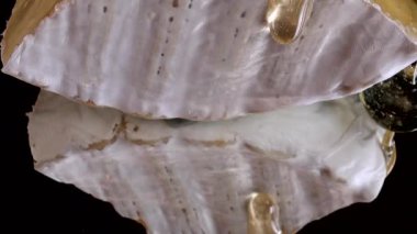 Brie peynirinden damlayan bal damlaları aynalı siyah arka planda.