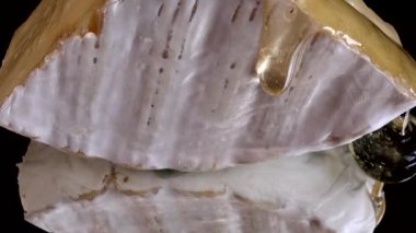 Brie peynirinden damlayan bal damlaları aynalı siyah arka planda.