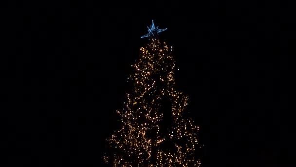 Garlands Christmas Tree Black Background — Vídeo de Stock