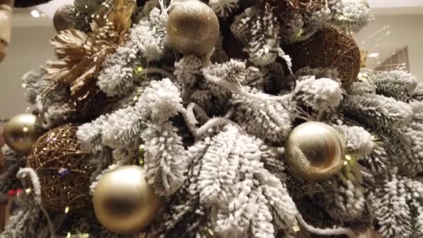 Χριστουγεννιάτικο Δέντρο Μια Βιτρίνα — Αρχείο Βίντεο