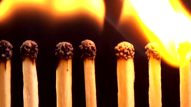 Burning Matches Black Background — Stock Video