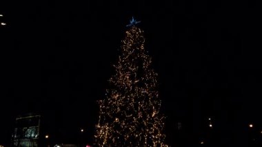 Siyah arka planda Noel ağacının çelenkleri.