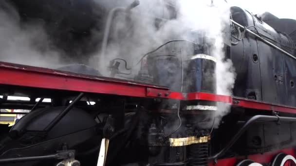 Retro Steam Locomotive Prepares Leave Station — Stockvideo