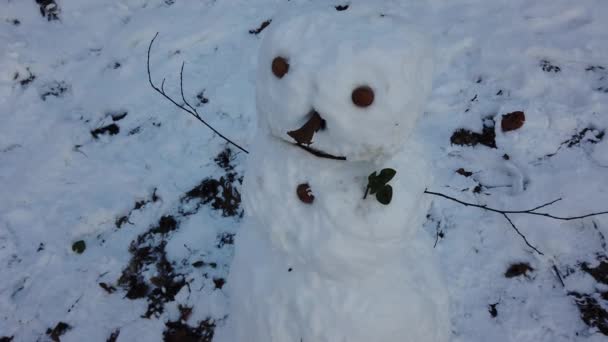 Χιονάνθρωπος Στο Χειμερινό Πάρκο — Αρχείο Βίντεο