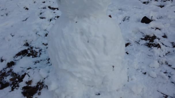 Χιονάνθρωπος Στο Χειμερινό Πάρκο — Αρχείο Βίντεο