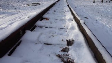 Railway rails covered with snow.