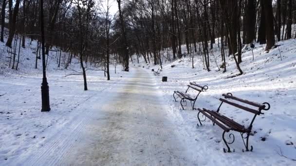 Bancos Parque Invierno — Vídeo de stock