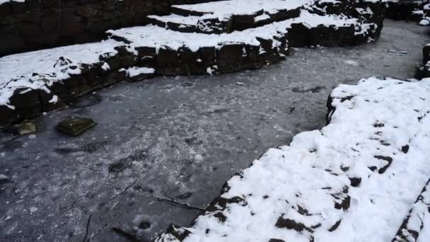 Étang Gelé Dans Parc Hiver — Video