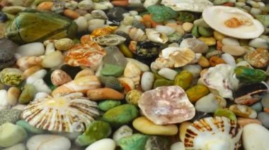 Deniz kabukları ve taşlar suyun altında. Yüzeyde dalgalanmalar.