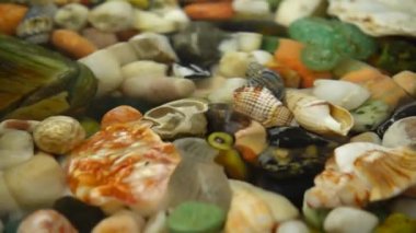 Deniz kabukları ve taşlar suyun altında. Düşen su damlaları. Yavaş çekim.