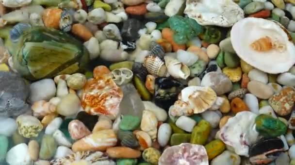 Muscheln Und Steine Unter Wasser Wellen Der Oberfläche — Stockvideo