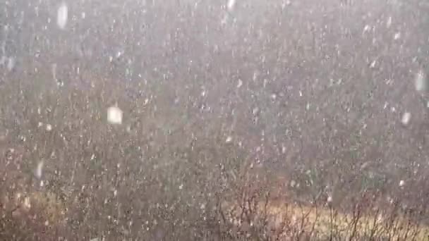 冬の降雪の間に雪が積もる — ストック動画