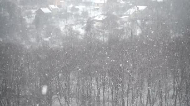Falling Upwards Snowflakes Winter Snowfall Abstraction Slow Motion — Stock Video