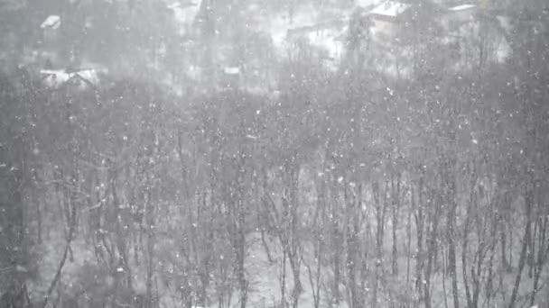 Caer Hacia Arriba Copos Nieve Durante Las Nevadas Invierno Abstracción — Vídeos de Stock