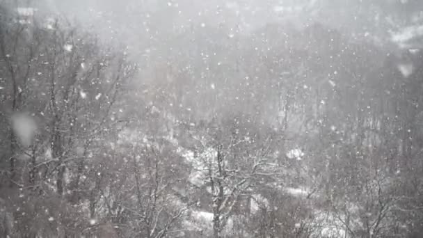 Sneeuwvlokken Naar Boven Vallen Tijdens Wintersneeuwval Abstractie Langzame Beweging — Stockvideo