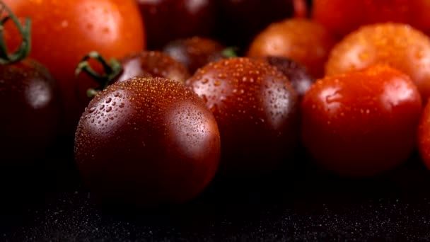 Cherry Tomatoes Black Background Water Drops — Stock Video