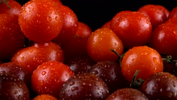 Kirschtomaten Auf Schwarzem Hintergrund Wassertropfen — Stockvideo