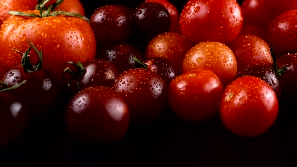 水滴中黑色底色的樱桃番茄 — 图库视频影像