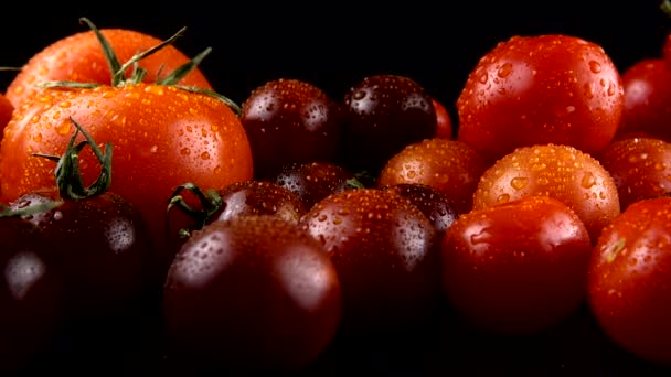 Tomates Cherry Sobre Fondo Negro Gotas Agua — Vídeos de Stock