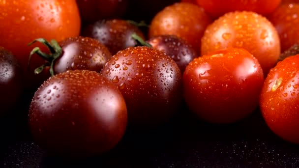 Kirschtomaten Auf Schwarzem Hintergrund Wassertropfen — Stockvideo