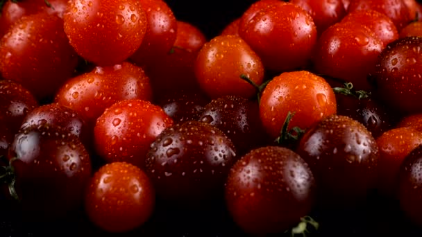 Cherry Rajčata Černém Pozadí Vodě Kapky — Stock video