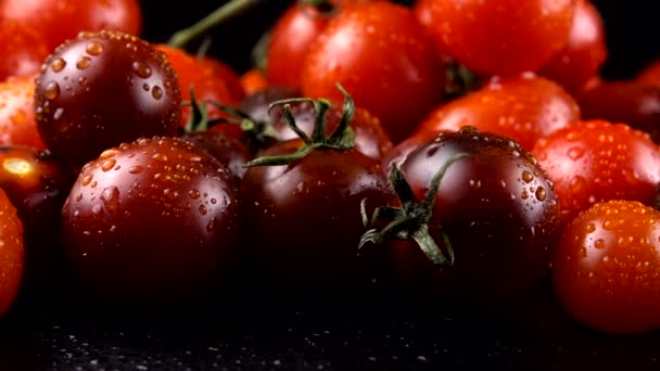 Kirschtomaten Auf Schwarzem Hintergrund Wassertropfen — Stockvideo