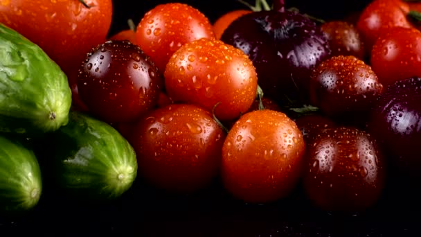 Tomates Cherry Pepinos Aguacate Cebolla Roja Sobre Fondo Negro Gotas — Vídeos de Stock